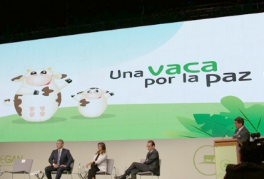 Convocan a la solidaridad del país para volver a poner en marcha el exitoso programa: Una Vaca Por la Paz. Foto: Fedegán. Vuelve el programa Una Vaca por la Paz, se reactivará el programa Una Vaca por la Paz, Fundagán, Fundación Colombia Ganadera, Fedegán, responsabilidad social ganadera,