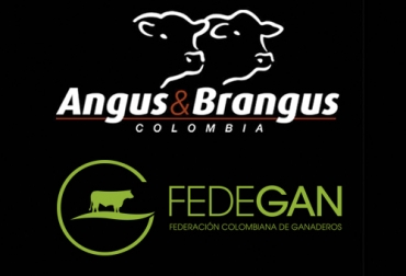 En estas reuniones gremiales se promoverá el fomento al consumo. Foto: contextoganadero.com alianza Fedegán y Asoangusbrangus, reuniones gremiales, fomento al consumo de carne
