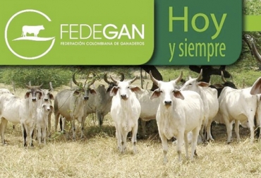 Para el Ministro de Agricultura y Desarrollo Rural, es Fedegán quien ha debido siempre administrar los fondos parafiscales ganaderos. Foto: Fedegan ganaderia, ganaderia colombia, ganaderia colombiana, contexto ganadero, noticias ganaderas, noticias ganaderas colombia, fondos parafiscales, ivan duque, apoyo a pederán, federan socio ganaderos, ganaderos, ganaderos colombia