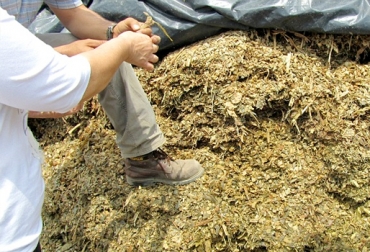Es clave almacenar alimento suficiente de cara a la temporada seca que se avecina. Foto: perulactea.com Ganadería, ganadería colombia, noticias ganaderas, noticias ganaderas colombia, CONtexto ganadero, temporada seca, Verano, clima, verano 2020, verano 2020 colombia, IDEAM, Caracol Radio, Sequía, sequía Colombia
