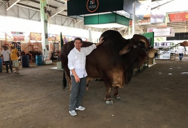 “Este macho es la manifestación de lo que se puede lograr con la disciplina en el mejoramiento genético de la raza”, dijo José Félix Lafaurie Rivera, presidente ejecutivo de Fedegán. Foto: Fedegán-FNG. Ganadería, ganadería colombia, noticias ganaderas, noticias ganaderas colombia, CONtexto ganadero