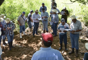Muchos ganaderos quisieran implementar este sistema de producción, pero varios se rehúsan a abandonar viejas prácticas. Foto: ganaderiaregenerativa.com Cómo ser ganadero regenerativo, requisitos ganadería regenerativa, curso ganadería regenerativa, Ganadería Sostenible, Acoganar, Ganadería regenerativa, ganadería amigable con el medio ambiente, Sistemas silvopastoriles, árboles ganadería, ganadería rentable y regenerativa, mejorar el suelo con ganadería, ahorrar, costos bajos, ganadería regenerativa Colombia, Ganadería, sostenible, Colombia, CONtexto ganadero, ganaderos colombia, noticias ganaderas colombia