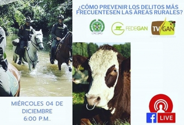 Esta sesión está dedicada al fortalecimiento de la seguridad en el campo colombiano, una charla organizada de la mano del Gaula, Fedegán y TVGAN. Foto: TVGAN TVGAN prevenir delitos, Cuarto Facebook Live, prevenir delitos, áreas rurales, Policía Nacional, policía en sector rural, policía ganaderos, Seguridad, delitos ganaderos, delitos en ganadería, facebook live, capacitación, capacitación en línea, capacitación online, fedegan, TVGAN, Colombia, Fedegán capacitación, capacitación Facebook Live, formación ganaderos, capacitación ganaderos, capacitación ganadería, CONtexto ganadero, ganaderos colombia, noticias ganaderas colombia