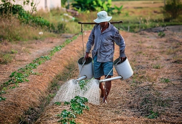 El Ideam advirtió que más de 200 municipios están en riesgo por las heladas. Foto: Archivo Unimedios. Ganadería, ganadería colombia, noticias ganaderas, noticias ganaderas colombia, CONtexto ganadero, Heladas, heladas Colombia, heladas Cundinamarca, prevenir heladas, sistemas agroecológicos, sistemas agroecológicos en colombia, heladas sistemas agroecológicos