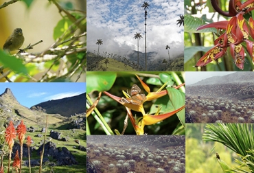 Se puede afirmar que la ganadería contribuye a la biodiversidad, pues la enriquece a través de las diferentes zonas existentes en todos los pisos térmicos que tiene Colombia. Foto: reportur.com Ganadería, ganadería colombia, Ganadería colombiana, CONtexto ganadero, noticias ganaderas, noticias ganaderas colombia, ganadería colombiana sostenible, resultados ganaderos colombiana sostenible, cuidado biodiversidad, biodiversidad colombia, fauna colombia, flora colombia, ganaderos, ganaderos colombia