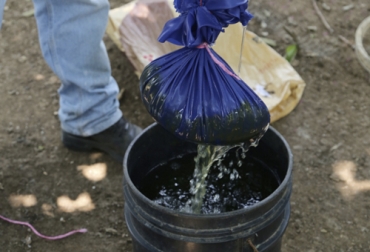 El té de estiércol es una materia de recuperación de los suelos que es de vital importancia por lo cual, es una forma básica y orgánica para utilizar en las fincas. Foto: ganaderiacolombianasostenible.co Ganadería, ganadería colombia, Ganadería colombiana, CONtexto ganadero, noticias ganaderas, noticias ganaderas colombia, te de estiercol, fertilizante orgánico, ganadería colombiana sostenible, elaboracion te de estiercol, bonddes te de estiercol, fertilizante natural, Ganadería Sostenible, ganaderos, ganaderos colombia