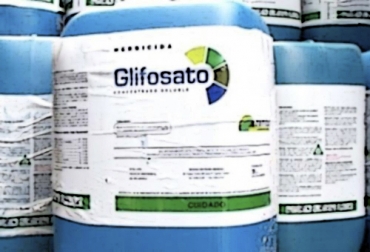 La EPA ha concluido que no hay riesgos de preocupación para la salud humana cuando el glifosato se usa de acuerdo con la etiqueta y que no es un cancerígeno. Foto: biodiversidadla.org ganadería, ganadería colombia, ganadería colombiana, contexto ganadero, noticias ganaderas, noticias ganaderas colombia, glifosato, glifosato cancer, glifosato no produce cancer, cancer glifosato, prohibición glifosato, venta glifosato, ganadeors, ganaderos colombia