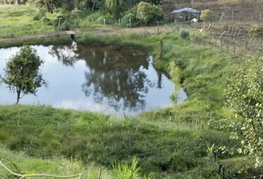 Los reservorios de agua es una de las fuentes de conservación de este recurso. Foto: properati.com.co ganadería, ganadería colombia, ganadería colombiana, contexto ganadero, noticias ganaderas, noticias ganaderas colombia, agua, dia mundial del agua, conservación del agua, conservación del agua en fincas, cuidado agua fincas, reservorios, ganaderos, ganaderos colombia