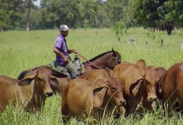 El manejo del personal y el medio ambiente hacen parte de las ventajas de tener una empresa ganadera. Foto: TvAgro Calendario 2020 Celebraciones Fecha Día internacional de la mujer 08-mar Día de Accion en defensa de los ríos 14-mar Día mundial del consumidor 15-mar Día del hombre 19-mar Día mundial del agua 22-mar Día mundial de la salud 07-abr Día de la tierra 22-abr Día del árbol 29-abr Día del trabajador 01-may Día del médico veterinario 10-may Día mundial de la leche 01-jun Día del campesino 02-jun Día mundial del medio ambiente 05-jun Día mundial lucha contra desertificación y sequía 17-jun Día del zootecnis