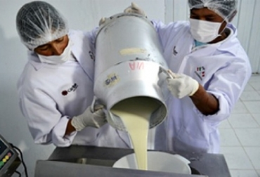 Una buena información sobre este virus fortalece el hato lechero. Foto: perulactea.com coronavirus, COVID-19, lecherías, hatos lechero, prevenir el coronavirus en lecherías, limpieza, instructivos, guías, CONtexto ganadero, engormix, noticias ganaderas