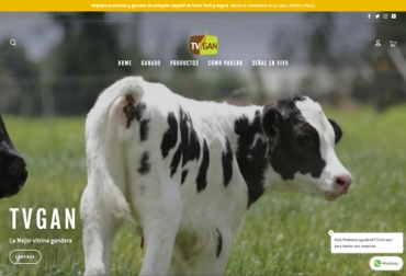 Con este nuevo portal, la navegación es más sencilla y la adquisición de ganados o productos es más rápida. Foto: tvgan.com.co Página web TVGAN, nueva página TVGAN, página TVGAN, www.tvgan.com.co, TVGAN, Venta de ganado, Ganaderos TVGAN, venta ganado TVGAN, Remates ganado, Remates TVGAN, tvgan promociones, equipos ganaderos promociones, remate ganado televisión, Promociones TVGAN 2020, productos ganado promoción, productos finca promoción, TVGAN 2020, Ganadería, ganadería colombia, CONtexto ganadero, ganaderos colombia, noticias ganaderas colombia