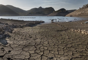 Luego de la sequía se debe estar muy atento a los animales y a los pastos para evitar, en lo posible, la aparición de enfermedades que pueden ser mortales, Foto: es.greenpeace.org sequía, enfermedades, animales, nitrato, carbunco, garrapatas, problemas sanitarios, agua, forraje, parásitos, animal, peso, muertes, pastoreo, Saguaypé, Coccidiosis, Clostridiosis, ganadería, ganadería colombia, noticias ganaderas colombia, contexto ganadero