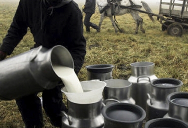 Los productores consideran que estos gastos no van acorde al aumento de los precios de la carne o la leche, por lo que puede ser una de las razones de quiebre del negocio. Foto: agronegocios.uniandes.edu.co Ganadería, ganadería colombia, Ganadería colombiana, CONtexto ganadero, noticias ganaderas, noticias ganaderas colombia, insumos, insumos agropecuarios, drogas veterinarias, aumento insumos agropecuarios, pocas ganancias ganaderas, negocio ganadero, ganaderos, ganaderos colombia