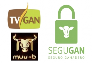 Los servicios que prestan firmas como TVGAN, Muu-B y Segugan se pueden tomar de forma remota desde un computador o celular. Foto: @muubapp - TvGan - segugan.com.co coronavirus, soluciones coronavirus, apps sector rural, apps ganadería, confinamiento coronavirus, comprar ganado online, soluciones remotas ganadería, Servicios tecnológicos en fincas ganaderas, tecnología en fincas, tecnología en fincas ganaderas Colombia, Desafíos en fincas lecheras en tecnología y medio ambiente, tecnología en ganaderías, CONtexto ganadero, ganaderos colombia, noticias ganaderas colombia