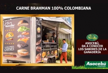 Desde Asocebú se avanza en el proyecto de promoción de la carne brahman 100% colombiana que podría tener grandes posibilidades en los mercados internacionales. Foto: Asocebú cebú, Asocebú, brahman, razas, carne, Comercio, exportaciones, Requisitos, programas, marca, comercialización, consumo, certificación, fincas, reproductores, parámetros productivos, ceba, vacas, fertilización in Vitro, biotipo, pastoreo, Ganadería, ganadería colombia, noticias ganaderas colombia, CONtexto ganadero