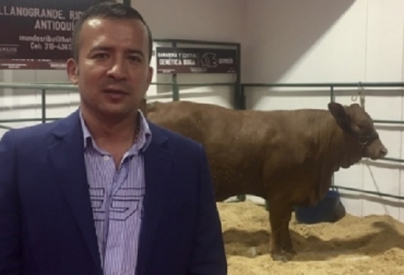 “Promovemos el cruce de Angus Brangus con la razas cebuinas para producir grandes volúmenes de carne”, sostuvo Giovanni Galindo, Foto: CONtexto ganadero. Las 4 estrategias, raza Angus Brangus, exportar carne premium, cruce con cebuinos, aumentar volumen de producción, bovinos al sacrificio más jóvenes, terneza y marmóreo, cumplir cuotas internacionales, cruces, mejoramiento genético, aumentar el hato, inseminación, biotecnología, carne premium, carne de alta calidad, reconocimiento internacional, noticias de ganadería colombiana, CONtexto ganadero.