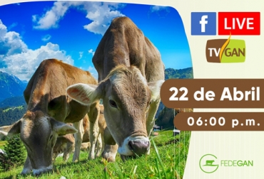 Este miércoles a las 6 de la tarde es la nueva cita para aprender sobre IATF gracias a Fedegán y TVGAN. Foto: TVGAN TVGAN, Facebook Live TVGAN, TVGAN 2020, IATF, Uso de la IATF como herramienta para mejorar parámetros productivos y reproductivos en Ganadería, facebook live, capacitación, capacitación en línea, capacitación online, fedegan, Colombia, Fedegán capacitación, capacitación Facebook Live, formación ganaderos, capacitación ganaderos, capacitación ganadería, coronavirus, COVID-19, cuarentena, Ganadería, ganadería colombia, noticias ganaderas, noticias ganaderas colombia, CONtexto ganadero