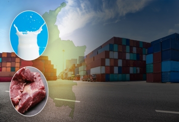 En este momento es necesario que las autoridades locales faciliten el acopio diario de leche para su distribución y que el gobierno nacional acelere la diplomacia sanitaria para llevar los excedentes que carne que se darán sobre todo en el segundo semestre de este año, afirma José Félix Lafaurie R. Fedegán, coronavirus, Covid 19, pospandemia, enfrentar la pospandemia, trazabilidad, inocuidad, leche, carne, admisibilidad sanitaria, Formalización, oferta nacional de leche, importación de pganaderia, ganaderia colombia, ganaderia colombiana, contexto ganadero, noticias ganaderas, noticias ganaderas colombia, ganaderia colombiana sostenible, casos exito ganaderia colombiana sostenible, sistema silvopastoril, reforestacion, medio ambiente, ecosistema, gases efecto invernadero, ganaderos, ganaderos colombia