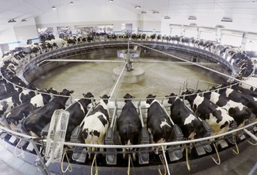 El experto dice que se debe contar con tecnología de punta para que las labores de hagan de forma más eficiente. Foto: elmundo.es CONtexto ganadero, la mejor información de la ganadería en Colombia.