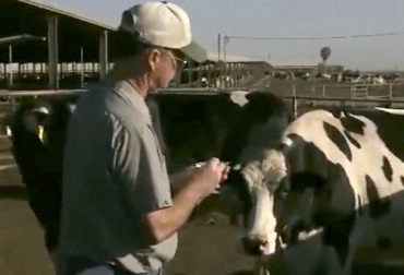 Para el médico veterinario Juan José Molina, tanto productores como técnicos deberían especializarse en tomar decisiones basadas en el análisis de los datos de la finca pecuaria. Foto: Veterinaria y Zootecnia Evolutiva Juan José Molina Echeverri, Empresa P+, recolección datos en ganaderías, análisis datos, datos, datos ganaderos, importancia de tomar datos ganaderos, análisis de datos de una finca, coronavirus, COVID-19, cuarentena, Ganadería, ganadería colombia, noticias ganaderas, noticias ganaderas colombia, CONtexto ganadero