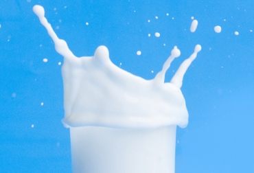 Los sólidos totales dependen de varios factores, como el estado de lactación o edad de la vaca. Foto: freepik.es Sólidos totales leche, Contexto ganadero sólidos totales, Mejorar sólidos totales a partir del pasto, mejorar sólidos totales leche, aumentar sólidos totales leche, aumentar sólidos en leche con forrajes, relación suelo-planta-animal, factores sólidos totales, coronavirus, COVID-19, cuarentena, Ganadería, ganadería colombia, noticias ganaderas, noticias ganaderas colombia, CONtexto ganadero