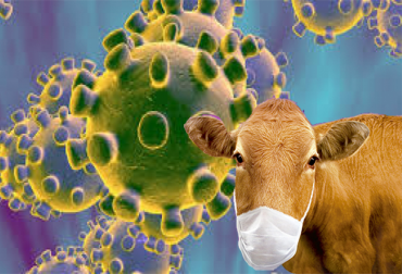 Conozca algunas lecciones que el coronavirus dejará para los ganaderos. Foto: on24.com.ar Ganadería, ganadería colombia, noticias ganaderas, noticias ganaderas colombia, CONtexto ganadero, COVID-19, efectos covid-19 ganadería, ganadería y covid-19, coronavirus y ganadería, enseñanzas ganadería covid-19, MSD, mauricio valencia msd