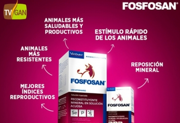 Este producto recién estrenado en nuestro país ha sido un éxito de ventas en Brasil y México. Aproveche que TVGAN lo está ofreciendo con descuento. Foto: TVGAN Promoción TVGAN 2020, promoción TVGAN mayo 2020, promoción Fosfosan TVGAN mayo 2020, Micronutrición inyectable, micronutrición inyectable en ganado bovino, nutrición de ganado, capacitación Facebook Live, formación ganaderos, capacitación ganaderos, capacitación ganadería, coronavirus, COVID-19, cuarentena, Ganadería, ganadería colombia, noticias ganaderas, noticias ganaderas colombia, CONtexto ganadero