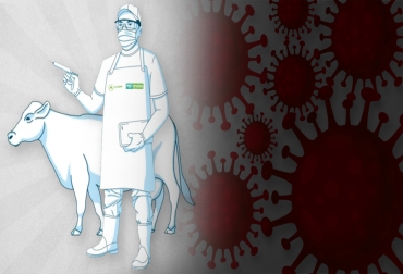 El coronavirus ha hecho que este ciclo sea un reto para la ganadería del país. Foto: CONtexto ganadero. Ganadería, ganadería colombia, noticias ganaderas, noticias ganaderas colombia, CONtexto ganadero, Ciclo de Vacunación, vacunación contra aftosa, aftosa 2020, ciclo de vacunación 2020, fedegan, fedegán vaunación, fechas ciclo de vacunación, fechas ciclo de vacunación 2020, ICA, ica vacunación, protocolo ciclo de vacunación, estatus sanitario, estatus sanitario Colombia