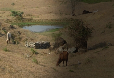 Una de las formas de conservar agua durante esta temporada seca que atraviesa el país es mediante reservorios o también por medio de jagüeyes. Foto: Fedegán Ganadería, ganadería colombia, noticias ganaderas, noticias ganaderas colombia, CONtexto ganadero, conservación de agua, Agua, temporada seca, Sequía, temporada seca en colombia, prolongación temporada seca, conservación de agua en verano, sistemas de riegos, colombia en materia de riego, alternativas para guardar agua, pozos profundos, reservorios, Ayudas del gobierno, ganaderos colombia, ganaderos