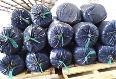 El Kikuyo, Raigrases, Estrella o Brachiarias son pastos rastreros que se pueden usar para la preparación del ensilaje. Foto: Cortesía Ganadería, ganadería colombia, noticias ganaderas, noticias ganaderas colombia, CONtexto ganadero, cuarentena, cuarentena Colombia, COVID-19, receta, receta ensilaje, receta ensilaje colombia, preparación ensilaje, materiales ensilaje, ingredientes ensilaje, ingredientes ensilaje fincas, lugar almacenamiento ensilaje, forrajes ensilaje, Forrajes, material forrajero, ganaderos, ganaderos cuarentena.