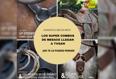 Aproveche la alianza entre Mesacé y TVGAN para adquirir uno de los súper combos de sillas. Foto: TVGAN Sillas TVGAN, Promoción TVGAN mayo 2020, silla pantanera Mesace TVGAN febrero 2019, silla pantanera Mesace, silla pantanera Mesace electromecánica, tvgan promociones, equipos ganaderos promociones, sillas para ganadería, promoción TVGAN sillas mayo 2020, coronavirus Colombia, coronavirus, COVID-19, cuarentena, Ganadería, ganadería colombia, noticias ganaderas, noticias ganaderas colombia, CONtexto ganadero