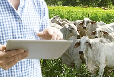 En momentos en los que las visitas a predios están restringidas, la tecnología muestra el camino para productores y empresas del sector. Foto: lahuertadigital.es - ecologiasocebu.blogspot.com Ganadería, ganadería colombia, noticias ganaderas, noticias ganaderas colombia, CONtexto ganadero, COVID-19, efectos covid-19 ganadería, ganadería y covid-19, coronavirus y ganadería, enseñanzas ganadería covid-19, MSD, mauricio valencia msd, cambios covid-19 ganadería