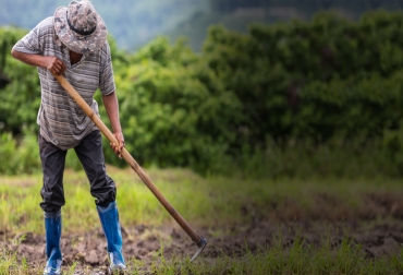 Desde 1964 se empezó a celebrar el Día Nacional del Campesino, por lo que hoy se conmemoran 56 años en el que se destaca la labor de los campesinos en el desarrollo del país. Foto: freepik.es/jcomp Ganadería, ganadería colombia, noticias ganaderas, noticias ganaderas colombia, CONtexto ganadero, día nacional del campesino, conmemoración día nacional del campesino, historia día del campesino, historia día del campesino en Colombia, 2 de junio día del campesino, crecimiento del campesino en Colombia, restos del campesino en colombia, conmemoración día del campesino en colombia, ganaderos, ganaderos colombia