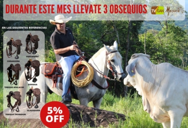 La promoción y los obsequios están disponibles en este mes de junio para conmemorar el Día del Padre. Foto: TVGAN Sillas TVGAN, promoción TVGAN junio 2020, silla pantanera Mesace TVGAN junio, TVGAN día del padre, silla pantanera Mesace, silla pantanera Mesace electromecánica, tvgan promociones, equipos ganaderos promociones, sillas para ganadería, promoción TVGAN sillas mayo 2020, coronavirus, coronavirus Colombia, COVID-19, cuarentena, Ganadería, ganadería colombia, noticias ganaderas, noticias ganaderas colombia, CONtexto ganadero