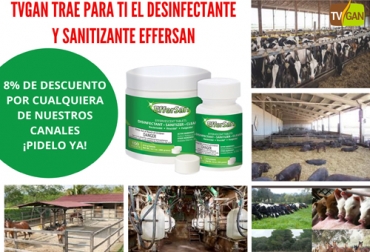 El Effersan® es un producto certificado a nivel internacional para eliminar el nuevo coronavirus SARS-CoV-2. Foto: Cortesía Promoción TVGAN 2020, promoción TVGAN junio 2020, vacunación fiebre aftosa, ciclo vacunación, charla virtual ganadería, capacitación, capacitación en línea, capacitación online, capacitación, capacitación Facebook Live, virucida, fungicida, bactericida, desinfectante, sanitizante, coronavirus Colombia, coronavirus, COVID-19, cuarentena, Ganadería, ganadería colombia, noticias ganaderas, noticias ganaderas colombia, CONtexto ganadero
