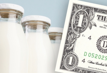 Con los precios actuales se requieren tres litros de leche para adquirir un dólar, medida importante en la actividad lechera teniendo en cuenta que gran parte de los costos son de productos importados. Foto: freepik.es/fotos/fondo creado por freepik - es.wikipedia.org trópico bajo, lechería, leche, Costos de Producción, dólar, precio, litro de leche, importaciones, Asoholstein, insumos, ordeño, mano de obra, razas cebuinas, lactancia, Ganadería, ganadería colombia, noticias ganaderas colombia, CONtexto ganadero