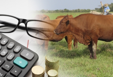 Los registros hacen parte de una buena práctica ganadera que se debe tener en una empresa agropecuaria. Foto: Designed by Freepik / freepik.es - Fedegán Ganadería, ganadería colombia, noticias ganaderas, noticias ganaderas colombia, CONtexto ganadero, ganaderos, ganaderos colombia, cifras ganaderas, finanzas ganaderas, cifras en la ganadería, finanzas en la ganadería, empresas ganaderas, finca empresa ganadera, recursos ganaderos, recursos organizacinales, contabilidad, contabilidad ganadera, contabilidad en ganadería, buenas prácticas ganaderas