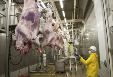 El frigorífico Colbeef manifiesta que la clandestinidad es un flagelo con elq ue han tenido que lidiar en la curantena que ha generado disminución de consumo. Foto: agriculturayganaderia.com Ganadería, ganadería colombia, noticias ganaderas, noticias ganaderas colombia, CONtexto ganadero, ganaderos, ganaderos colombia, frigoríficos, frigoríficos colombia, disminuición consumo de carne en colombia, consumo de carne en Colombia, negocio frigorífico, sector frigoríficos, establecimientos de ventas de carnes, consumidores de carne