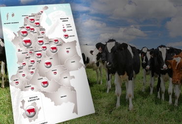 Según la Encuesta Nacional Agropecuaria del Dane, en 2019 Antioquia era el departamento con mayor hato ganadero del país. Foto: Dane. hato ganadero, DANE, doble propósito, carne, leche, cría, ceba, levante, región Andina, región Caribe, Región Pacífica, Orinoquía, AMAZONía, cabezas, Antioquia, Casanare, Ganadería, ganadería colombia, noticias ganaderas colombia, CONtexto ganadero.