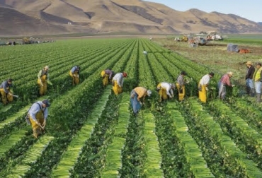 La delegación en tareas es uno d elos hábitos que debe aplicarse para garantizar el éxito en una ganadería. Foto: agriculturayganaderia.com Ganadería, ganadería colombia, noticias ganaderas, noticias ganaderas colombia, CONtexto ganadero, hábitos, hábitos en la ganadería, éxito en la ganadería, negocio ganadero, negocio ganadero éxitoso, actualización del conocimiento, registro de datos, ganaderos, ganaderos colombia
