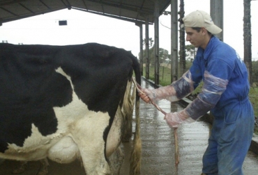 Al momento de presentarse retención de placenta en la vaca, se debe verificar su temperatura dos veces al día y evaluar su estado de salud para evitar toxemia. Foto: facebook.com/DatosAgropecuarios Recomendaciones retención placenta, qué hacer cuando hay retención de placenta, qué hacer para evitar retención de placenta, Detalles sobre retención de placenta en vacas, Retención placentaria en el ganado bovino, consecuencias retención placenta, prevención retención placenta, tratamientos retención placenta, retención placenta vacas, coronavirus, coronavirus Colombia, COVID-19, cuarentena, Ganadería, ganadería colombia, noticias ganaderas, noticias ganaderas colombia, CONtexto ganadero
