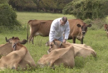 Para la expositora, el bienestar animal también está ligado a que se cuide al bovino de miedos y angustias que puedan generarle estrés. Foto: senasa.gob.ar Ganadería, ganadería colombia, noticias ganaderas, noticias ganaderas colombia, CONtexto ganadero, ganaderos, ganaderos colombia, ganancia de peso, ganancia de peso diaria terneras, nutrición terneras, Bienestar Animal, bienestar animal terneras, productividad terneras, angustia terneras, alimentación, dolor terneras, comportamiento terneras