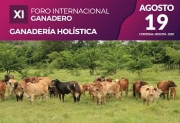 Las experiencias recogidas en el proyecto Ganadería Colombiana Sostenible, serán presentadas por el presidente de Fefegán José Félix Lafaurie. Foto GCS ganadería holista, ganadería regenerativa, ganadería sostenible, XI Foro Internacional, ganadería, gandería colombia, ganadería sostenible, ganadería sostenible colombia, CONtexto ganadero