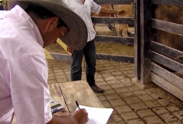 Para el experto, el éxito de una empresa ganadera se basa en llevar los registros y hacer cuentas bajo un método simple. Foto: Captura de video - Youtube.com - TvAgro Ganadería, ganadería colombia, noticias ganaderas, noticias ganaderas colombia, CONtexto ganadero, ganaderos, ganaderos colombia, cifras ganaderas, finanzas ganaderas, cifras en la ganadería, finanzas en la ganadería, empresas ganaderas, finca empresa ganadera, recursos ganaderos, recursos organizacinales, Contabilidad, contabilidad ganadera, contabilidad en ganadería, Buenas Prácticas Ganaderas, costos, manejo de costos empresa ganadera, metodo simple de cuenta, cuentas agropecuarias