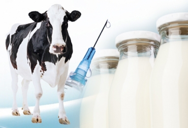 El uso de antibióticos en la producción lechera es algo que puede requerirse pero lo importante es conocer la forma como se deben manejar y aplicar para evitar problemas. Foto: rumiantes.com - freepik.es/freepik antibióticos, leche, Agrosavia, resistencia antimicrobiana, tratamientos, uso adecuado, salud del hato, inocuidad, calidad, Alimentos, proteína, medicamentos, Ganadería, ganadería colombia, noticias ganaderas colombia, CONtexto ganadero
