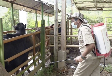 El experto indica que los operarios deben contar con toda la indumentaria de protección para aplicar este tipo de garrapaticidas. Foto: Captura de pantalla del video www.youtube.com/watch?v=Akitaohutdc del canal de youtube La Finca de Hoy Ganadería, ganadería colombia, noticias ganaderas, noticias ganaderas colombia, CONtexto ganadero, garrapatas, aplicación garrapaticidas, paso a paso aplicación garrapaticidas, exceso de garapaticidas, bomba de garrapaticida
