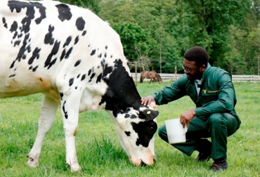 El Ministerio de Agricultura expidió una resolución por la cual se adopta el manual de bienestar animal que regirá en adelante. Foto: veterinaria.uach.cl bienestar animal, ICA, Minagricultura, manual, Sena, Acovez, Amevec, Anzoo, gremios, zootecnistas, médicos veterinarios, Agrosavia, ganadería, ganadería colombia, noticias ganaderas colombia, contexto ganadero