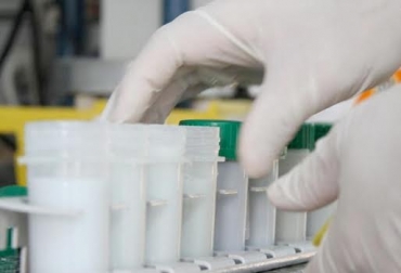 El fenotipo del ganado es una de las diversas características que inciden en los componentes de calidad de la leche. Foto: lavozdelinterior.com.a calidad, leche, fenotipo, grasa, proteína, lácteos, sólidos, rentabilidad, manejo, alimentación, características físico químicas, precio de la leche, animales mestizos, Ganadería, ganadería colombia, noticias ganaderas colombia, CONtexto ganadero