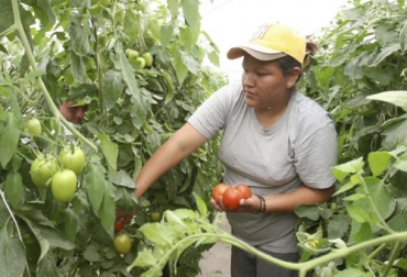 Hoy la mujer rural ha demostrado que es el centro del hogar y quien lleva el timón del negocio agropecuario. Foto: kapitalstereo.com Ganadería, ganadería colombia, noticias ganaderas, noticias ganaderas colombia, CONtexto ganadero, Mujer Rural, día de la mujer rural, mujer ganadera, mujer en la ganadería, papel de la mujer en la ganadería, papel de la mujer en el mundo, crecimiento de la mujer en el mundo, ganaderas de Colombia