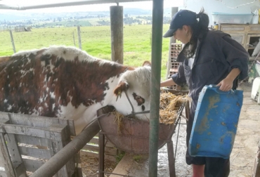 En el Día Internacional de la Mujer Rural invitamos a todas nuestras productoras a que sigan luchando por el crecimiento de sus familias y del sector. Foto: Paola Fernández Ganadería, ganadería colombia, noticias ganaderas, noticias ganaderas colombia, CONtexto ganadero, Mujer Rural, día de la mujer rural, mujer ganadera, mujer en la ganadería, papel de la mujer en la ganadería, papel de la mujer en el mundo, crecimiento de la mujer en el mundo, ganaderas de Colombia, 15 de octubre día internacional de la mujer rural